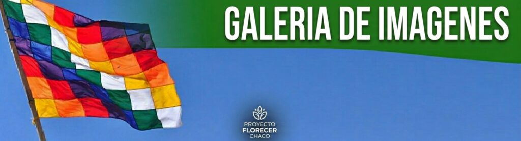 galeria de imagenes