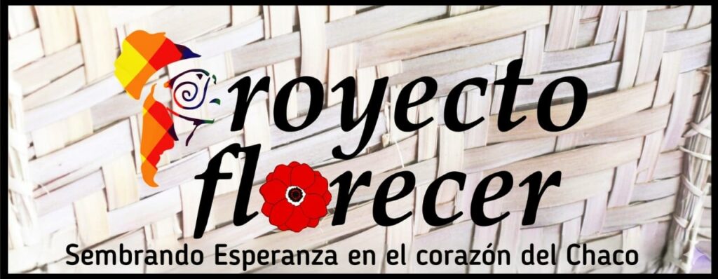 portada pf web