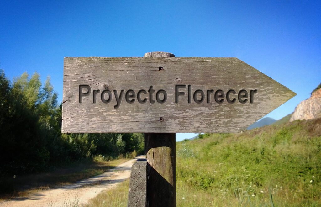 photofunia 1629938591